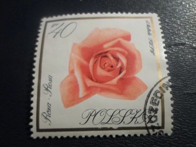 Лот: 17233092. Фото: 1. Марка для Вашей коллекции. №25582. Марки