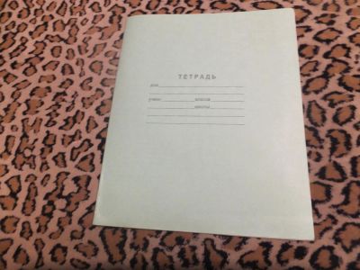 Лот: 4857353. Фото: 1. Тетрадь в линейку, 12 л., зеленая. Другое (учёба (школа, вуз))