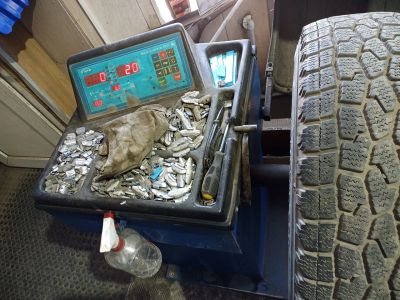 Лот: 25377035. Фото: 1. Балансировочный станок. Шиномонтажное оборудование