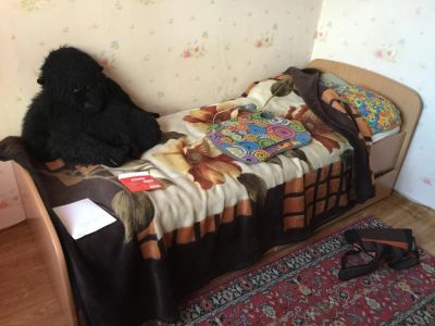 Лот: 8062543. Фото: 1. Кровать подростку с выдвижными... Кровати