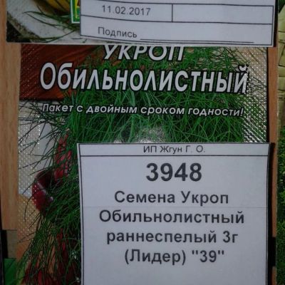 Лот: 9122973. Фото: 1. Семена / Укроп / Обильнолистный... Овощи