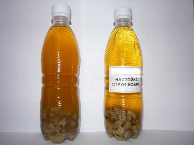 Лот: 21599829. Фото: 1. Струя Бобра. Народная медицина, БАДы