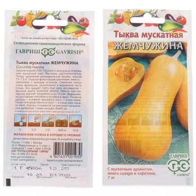 Лот: 24122720. Фото: 1. Семена Тыква, Жемчужина мускатная... Другое (семена, рассада, садовые растения)