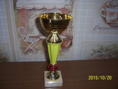 Лот: 6305028. Фото: 1. Кубок. Спортивная символика и атрибутика