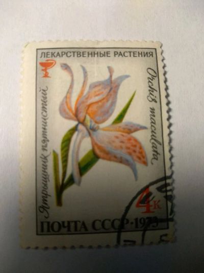 Лот: 13934273. Фото: 1. Марка ссср лекарственные растения... Марки