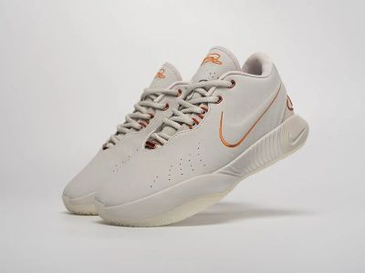 Лот: 21775535. Фото: 1. Кроссовки Nike Lebron XXI. Кеды, кроссовки, слипоны