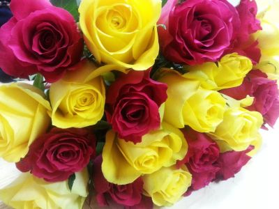 Лот: 6379232. Фото: 1. 25 шикарных роз в букете Лот... Свежие цветы