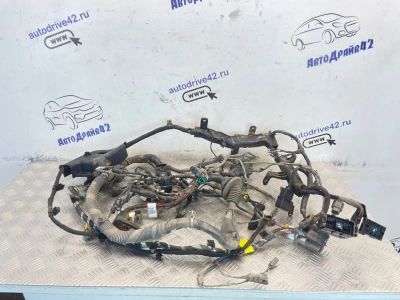 Лот: 25377924. Фото: 1. проводка подкапотная Hyundai Elantra... Двигатель и элементы двигателя