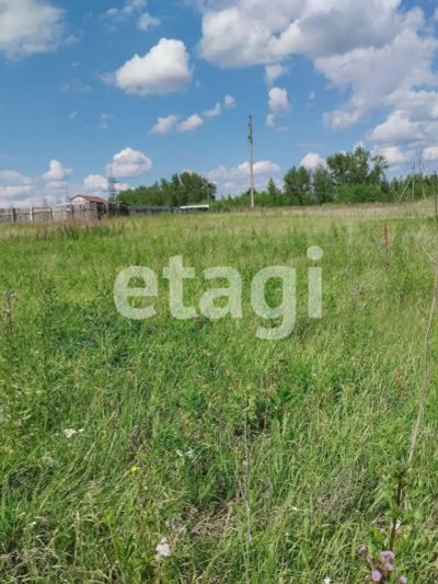 Лот: 25293872. Фото: 1. участок , СПК Солонцы СПК Солонцы... Земельные участки