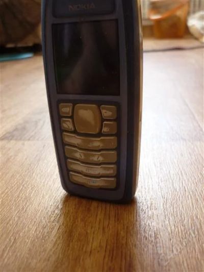 Лот: 870381. Фото: 1. nokia 3100. Кнопочные мобильные телефоны