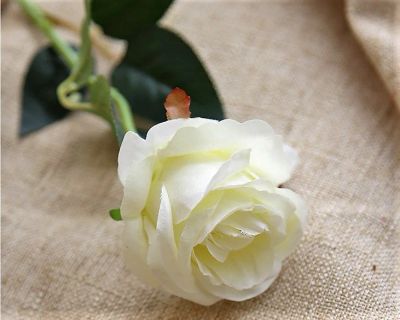 Лот: 10481636. Фото: 1. Розы из шёлка, 52см / цвет: Белый... Искусственные и сувенирные цветы