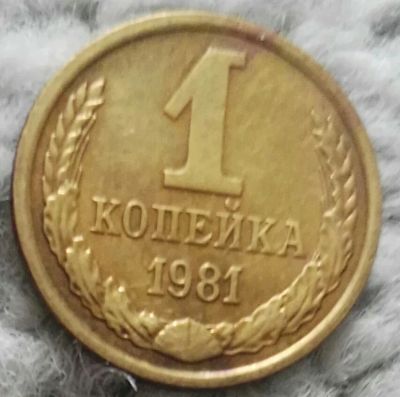 Лот: 18899027. Фото: 1. 1 копейка 1981 (976). Россия и СССР 1917-1991 года