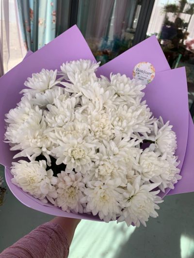 Лот: 15773330. Фото: 1. Букет кустовых Хризантем /9шт. Свежие цветы