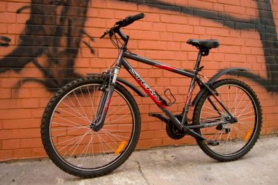 Лот: 9890359. Фото: 1. Велосипед горный MTB Stern Dynamic... Велосипеды