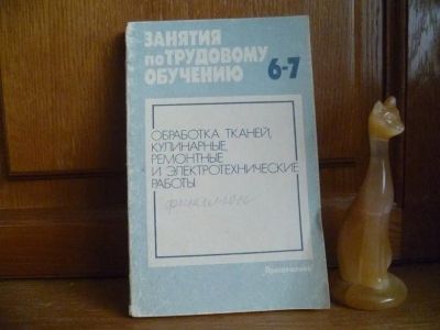 Лот: 25762510. Фото: 1. Левицкая Л. В., Радугина О. Г... Для школы