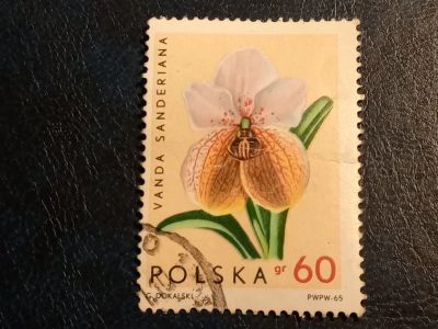 Лот: 24928746. Фото: 1. - Марки для Вашей коллекции. лот... Марки