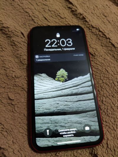 Лот: 17162731. Фото: 1. Iphone XR 64gb product red. Смартфоны