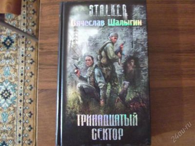Лот: 1072790. Фото: 1. STALKER Тринадцатый сектор. Художественная