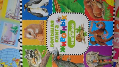 Лот: 8281081. Фото: 1. Новая Большая книга животных для... Художественная для детей