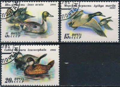 Лот: 20749133. Фото: 1. 1991, июль. Утки. Полная серия... Марки