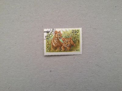 Лот: 14795085. Фото: 1. марка СССР кл 142. Марки