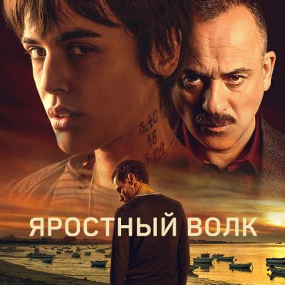 Лот: 24290985. Фото: 1. Яростный волк. Видеозаписи, фильмы