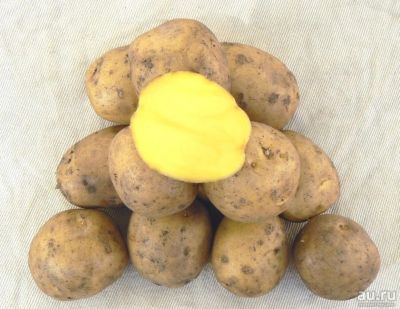 Лот: 15316450. Фото: 1. Картошка картофель урожай 2020. Картофель