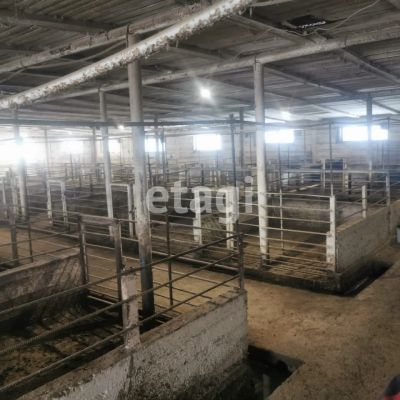 Лот: 25287190. Фото: 1. участок , село Вознесенка село... Земельные участки