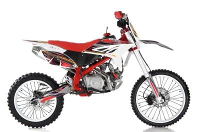 Лот: 21080094. Фото: 1. Мотоцикл WELS RT 140 19/16 PITBIKE. Мотоциклы