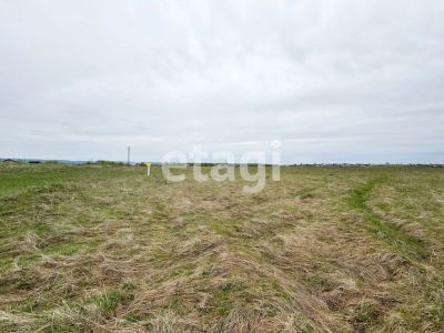 Лот: 25296370. Фото: 1. участок , ДНТ Мальта ДНТ Мальта... Земельные участки