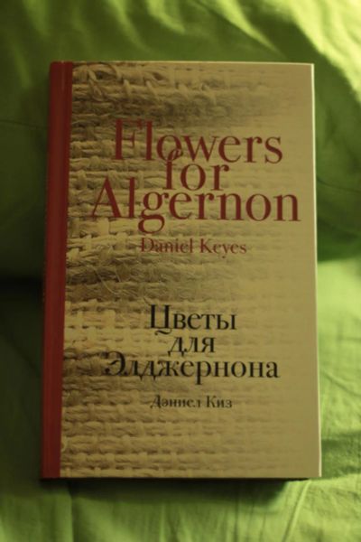 Лот: 7021661. Фото: 1. Дэниел Киз. «Цветы для Элджернона... Художественная