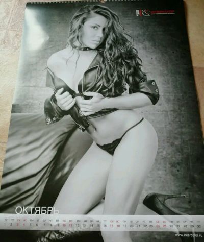 Лот: 13717880. Фото: 1. Продам календарь 2015. Осталось... Другое (коллекционирование, моделизм)