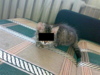Лот: 1139818. Фото: 1. диван срочно!!!. Кресла, пуфы
