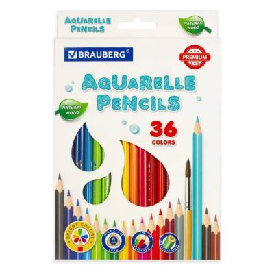 Лот: 24502941. Фото: 1. Карандаши цветные Brauberg Premium... Ручки, карандаши, маркеры