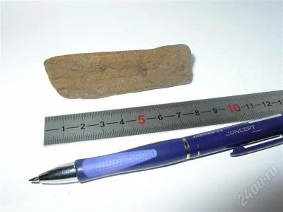 Лот: 631937. Фото: 1. Окаменелое дерево - №7 (легко... Минералы и окаменелости