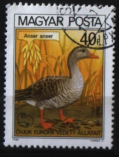 Лот: 6838916. Фото: 1. Венгрия 1980г фауна. Марки