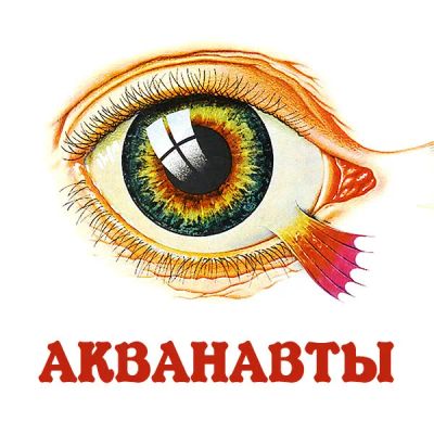 Лот: 24810419. Фото: 1. Акванавты. Видеозаписи, фильмы