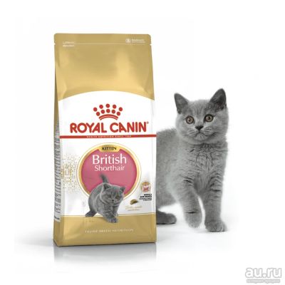 Лот: 16609920. Фото: 1. Royal Canin Kitten British Shorthair... Корма