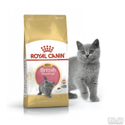 Лот: 17577670. Фото: 1. Royal Canin Kitten British Shorthair... Корма