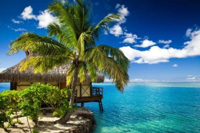 Лот: 11683048. Фото: 1. 🌴 🐬 Мальдивы 150 т.р. на Двоих... Туры, путёвки, билеты