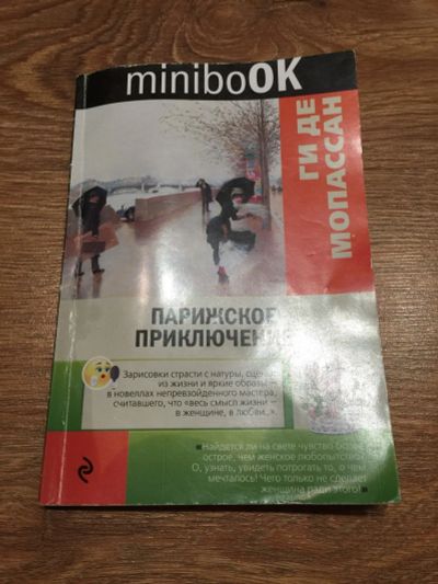 Лот: 15674588. Фото: 1. Ги де Мопассан "Парижское приключение... Другое (детям и родителям)