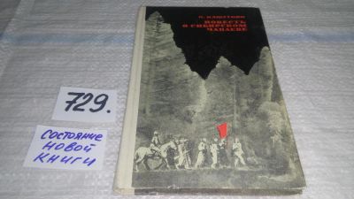 Лот: 11668012. Фото: 1. Повесть о сибирском Чапаеве, Петр... История