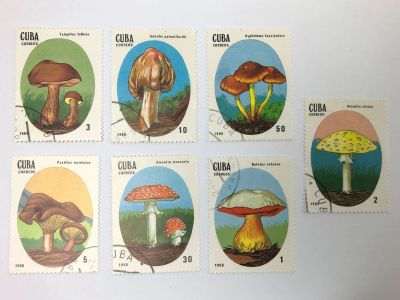 Лот: 23314317. Фото: 1. Грибы. Полная серия. Флора. Куба... Марки