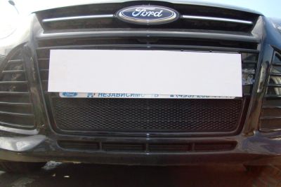 Лот: 4985336. Фото: 1. Защитная сетка радиатора Ford... Другое (автохимия, масла, тюнинг)