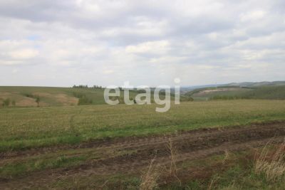 Лот: 25296372. Фото: 1. участок , ДНТ Мальта ДНТ Мальта... Земельные участки