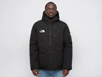 Лот: 24975974. Фото: 1. Куртка зимняя The North Face. Верхняя одежда