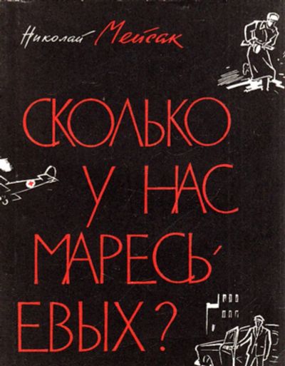 Лот: 23444142. Фото: 1. Сколько у нас Маресьевых?. Мемуары, биографии
