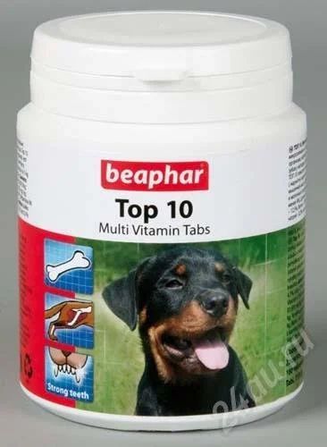 Лот: 580963. Фото: 1. Топовые витамины для собак Beaphar... Косметика для животных