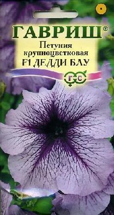 Лот: 3915942. Фото: 1. Петуния крупноцветковая Дедди... Другое (семена, рассада, садовые растения)