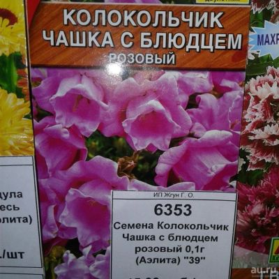 Лот: 9118358. Фото: 1. Семена / цветы / Колокольчик... Садовые цветы